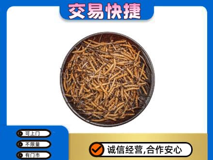 呼和浩特高价回收散虫草